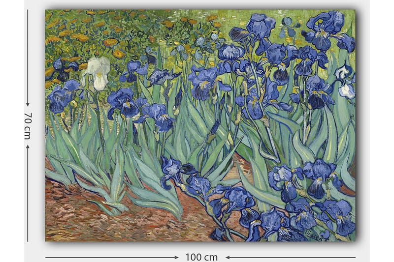 Canvas taulu 70x100 cm - Värikäs kokoelma iiriksen kukkia eri sinisen sävyissä - Sininen / Vihreä / Valkoinen - Sisustustuotteet - Taulu & taide - Canvas-taulu