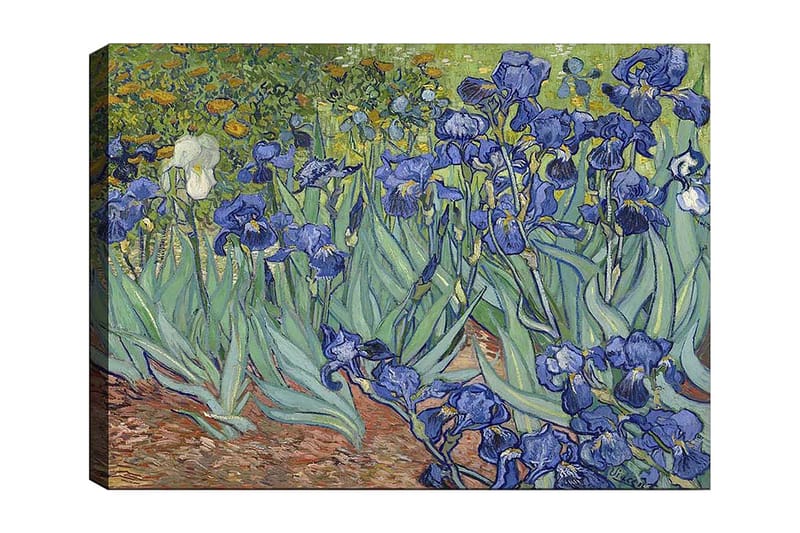 Canvas taulu 70x100 cm - Värikäs kokoelma iiriksen kukkia eri sinisen sävyissä, Sininen / Vihreä / Valkoinen