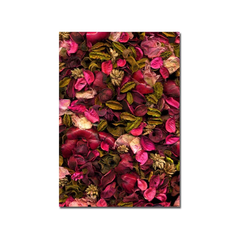 Canvas taulu 70x100 cm - Värikäs kokoelma kuivattuja kukkia ja lehtiä - Vaaleanpunainen / Vihreä / Ruskea - Sisustustuotteet - Taulu & taide - Canvas-taulu