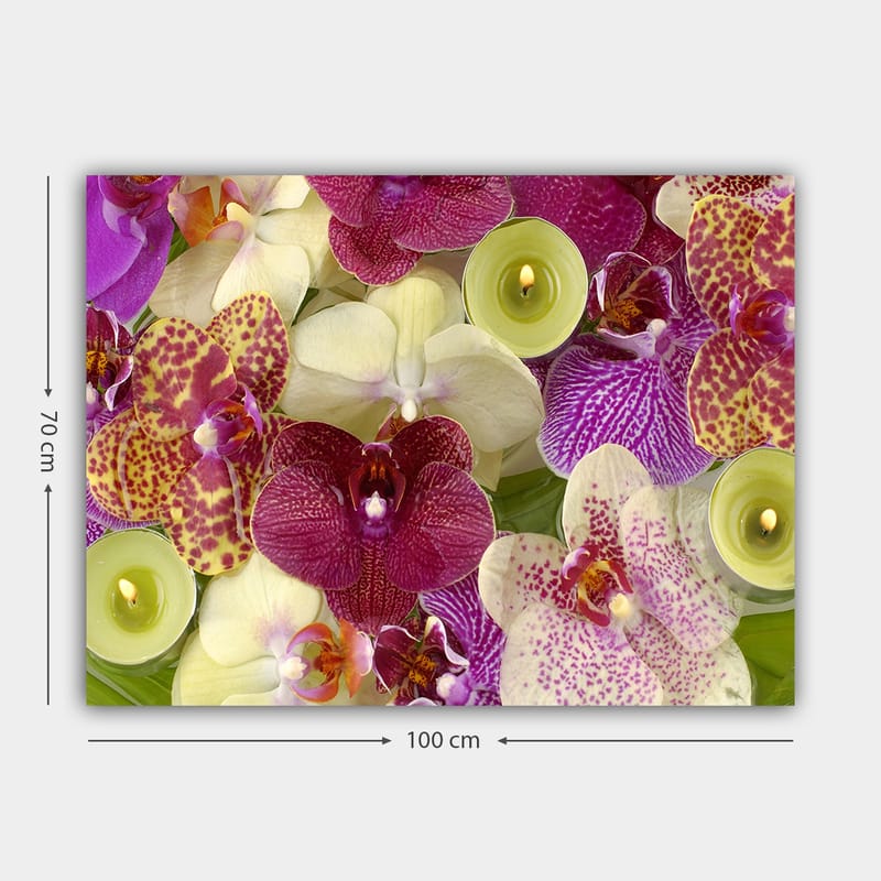 Canvas taulu 70x100 cm - Värikäs kokoelma orkideoita eri sävyissä ja muodoissa - Violetti / Valkoinen / Keltainen - Sisustustuotteet - Taulu & taide - Canvas-taulu