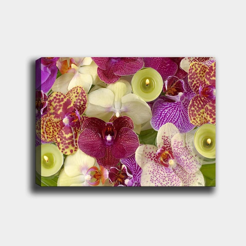 Canvas taulu 70x100 cm - Värikäs kokoelma orkideoita eri sävyissä ja muodoissa, Violetti / Valkoinen / Keltainen