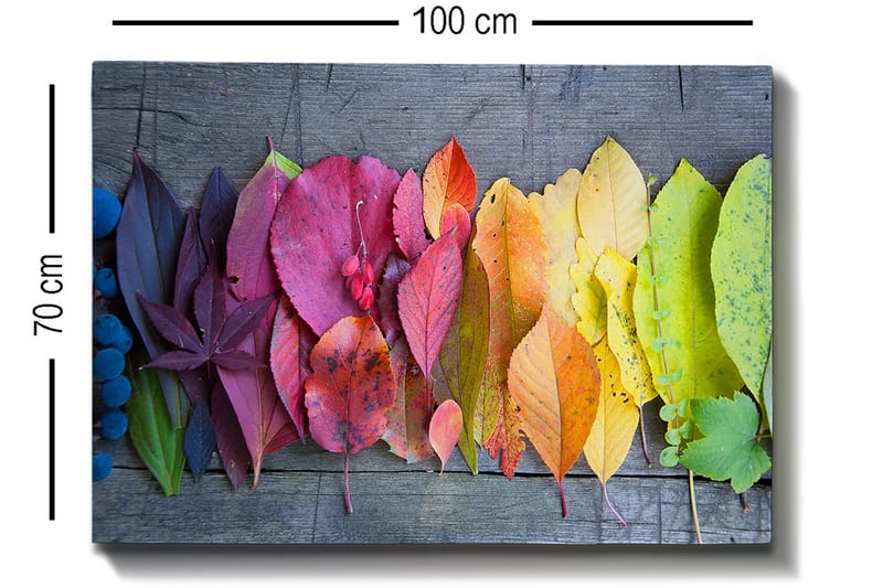 Canvas taulu 70x100 cm - Värikäs kokoelma syksyn lehtiä eri sävyissä, jotka kuvaavat luonnon kauneutta - Punainen / Keltainen / Vihreä - Sisustustuotteet - Taulu & taide - Canvas-taulu