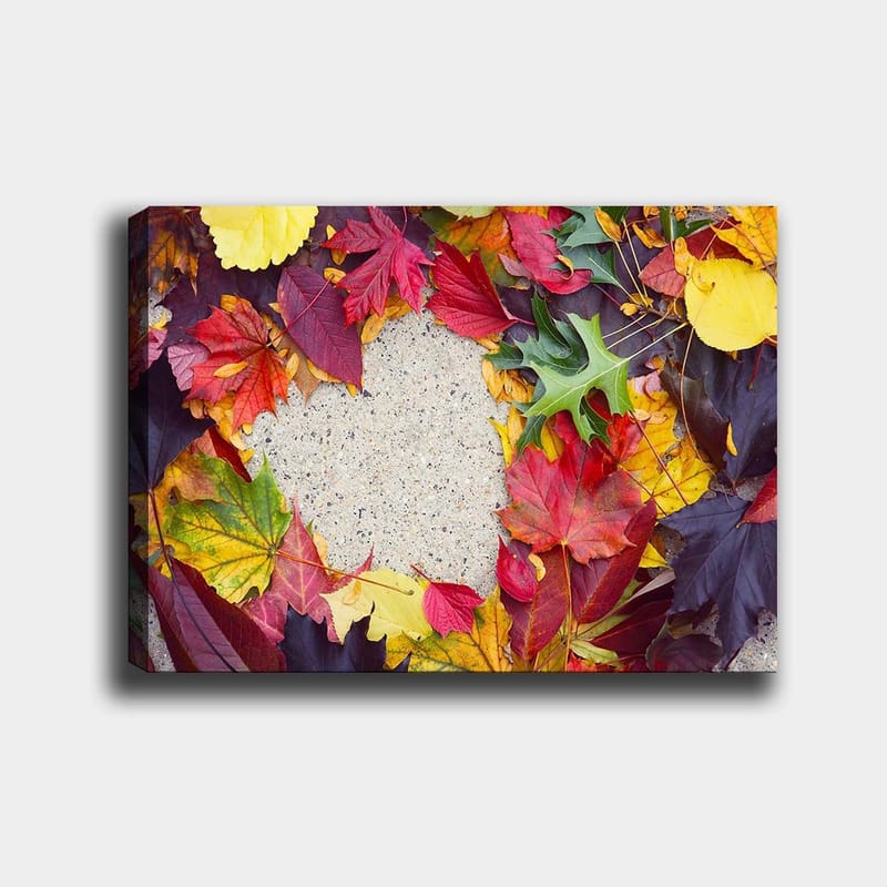 Canvas taulu 70x100 cm - Värikäs kokoelma syksyn lehtiä eri sävyissä harmaan pinnan ympärillä - Punainen / Keltainen / Vihreä - Sisustustuotteet - Taulu & taide - Canvas-taulu