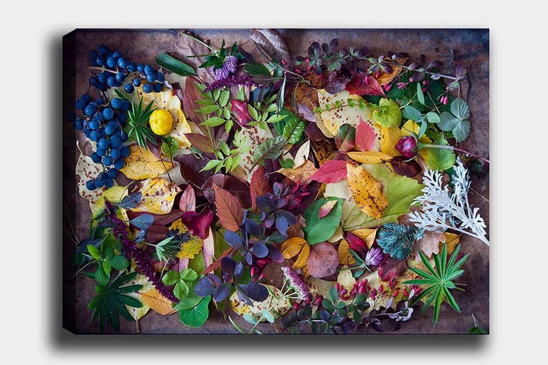 Canvas taulu 70x100 cm - Värikäs kokoelma syksyn lehtiä ja marjoja, Vihreä / Punainen / Keltainen