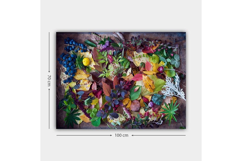 Canvas taulu 70x100 cm - Värikäs kokoelma syksyn lehtiä ja marjoja - Vihreä / Punainen / Keltainen - Sisustustuotteet - Taulu & taide - Canvas-taulu