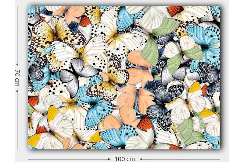 Canvas taulu 70x100 cm - Värikäs kokoelma perhosia eri kuvioissa ja väreissä - Sininen / Valkoinen / Oranssi - Sisustustuotteet - Taulu & taide - Canvas-taulu