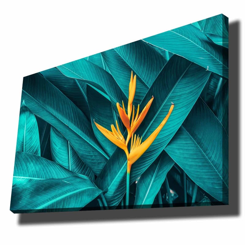 Canvas taulu 70x100 cm - Värikäs kukka suurten, vihreiden lehtien ympäröimänä, Turkoosi / Keltainen