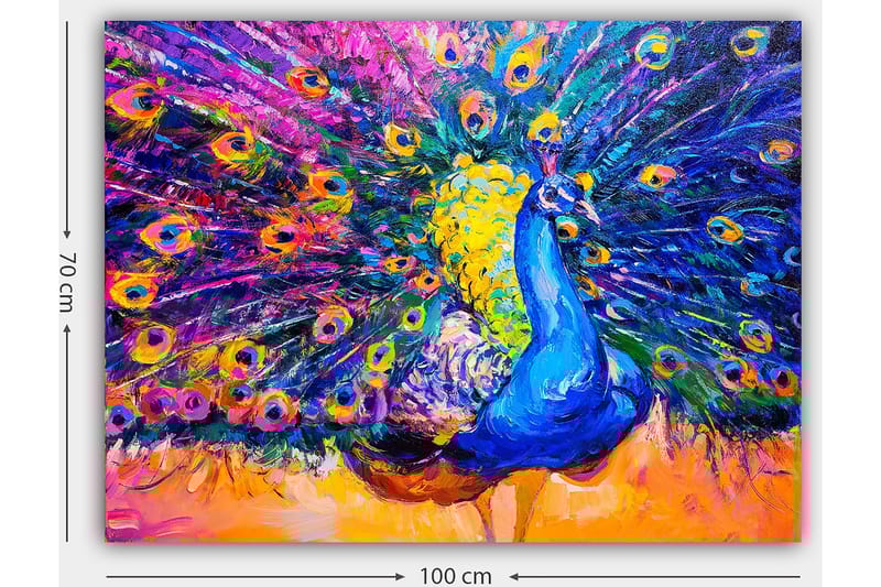 Canvas taulu 70x100 cm - Värikäs riikinkukko levitetyillä höyhenillä luo dramaattisen vaikutelman - Sininen / Violetti / Keltainen - Sisustustuotteet - Taulu & taide - Canvas-taulu