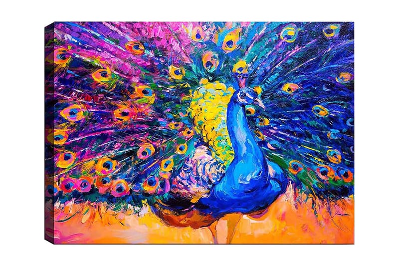 Canvas taulu 70x100 cm - Värikäs riikinkukko levitetyillä höyhenillä luo dramaattisen vaikutelman, Sininen / Violetti / Keltainen