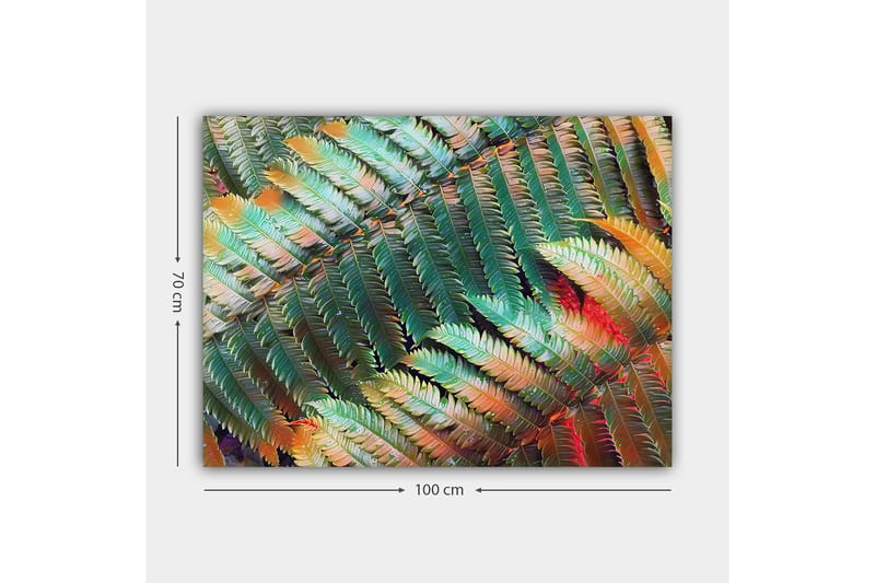Canvas taulu 70x100 cm - Värikäs saniaisten sommitelma, jossa on erilaisia vihreän ja oranssin sävyjä - Vihreä / oranssi - Sisustustuotteet - Taulu & taide - Canvas-taulu