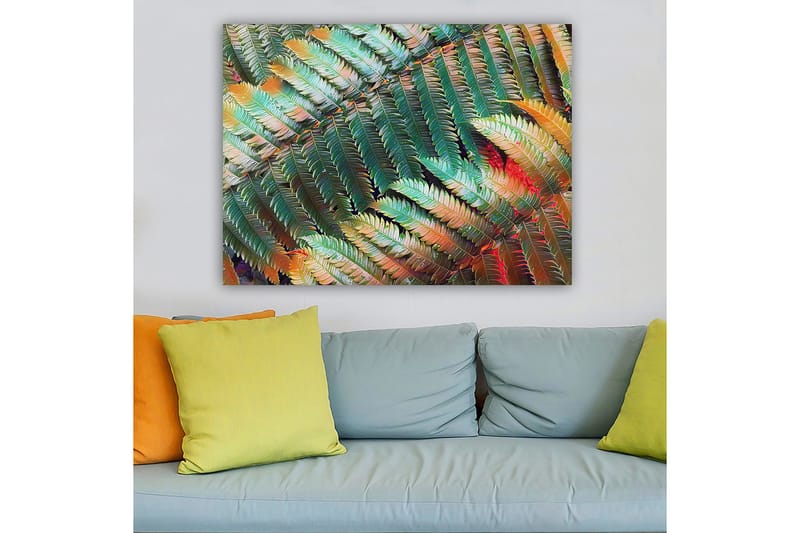 Canvas taulu 70x100 cm - Värikäs saniaisten sommitelma, jossa on erilaisia vihreän ja oranssin sävyjä - Vihreä / oranssi - Sisustustuotteet - Taulu & taide - Canvas-taulu