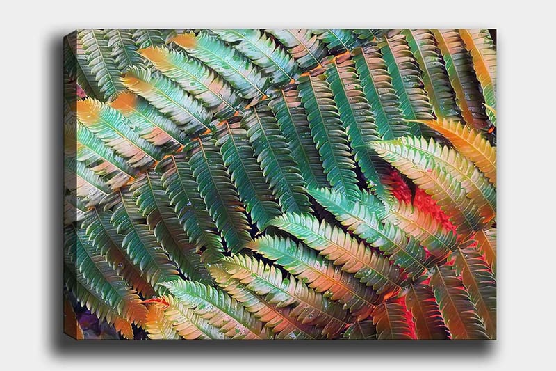 Canvas taulu 70x100 cm - Värikäs saniaisten sommitelma, jossa on erilaisia vihreän ja oranssin sävyjä, Vihreä / oranssi