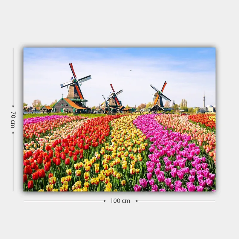 Canvas taulu 70x100 cm - Värikäs tulppaanipelto tuulimyllyn taustalla - Punainen / Keltainen / Vaaleanpunainen - Sisustustuotteet - Taulu & taide - Canvas-taulu