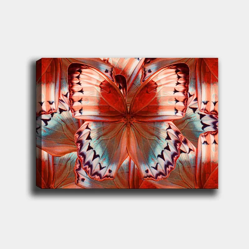 Canvas taulu 70x100 cm - Värikäs perhonen yksityiskohtaisilla punaisilla ja sinisillä siivillä, Punainen / Sininen