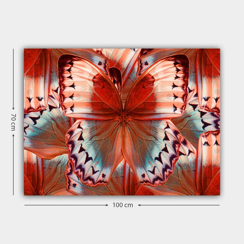 Canvas taulu 70x100 cm - Värikäs perhonen yksityiskohtaisilla punaisilla ja sinisillä siivillä - Punainen / Sininen - Sisustustuotteet - Taulu & taide - Canvas-taulu