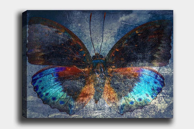 Canvas taulu 70x100 cm - Värikäs perhonen yksityiskohtaisilla sinisillä ja oransseilla siivillä, Sininen / Oranssi / Musta