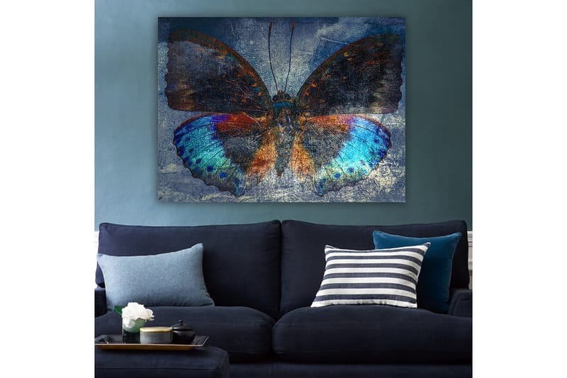 Canvas taulu 70x100 cm - Värikäs perhonen yksityiskohtaisilla sinisillä ja oransseilla siivillä - Sininen / Oranssi / Musta - Sisustustuotteet - Taulu & taide - Canvas-taulu