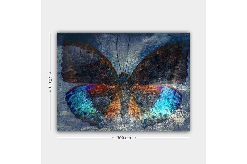Canvas taulu 70x100 cm - Värikäs perhonen yksityiskohtaisilla sinisillä ja oransseilla siivillä - Sininen / Oranssi / Musta - Sisustustuotteet - Taulu & taide - Canvas-taulu