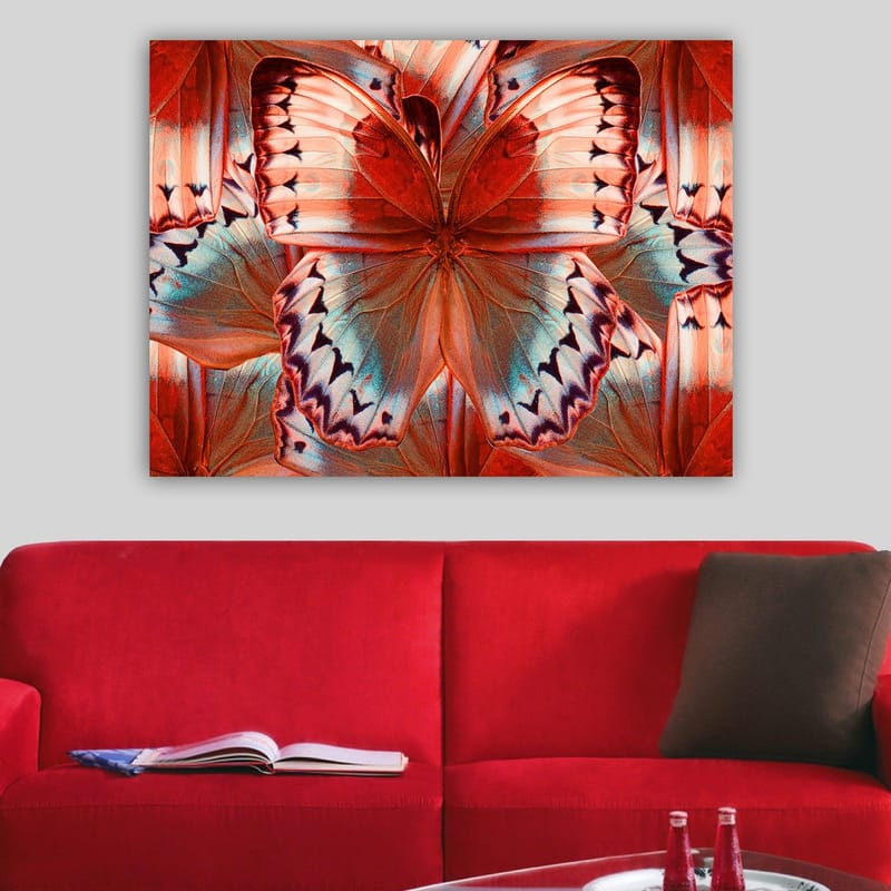 Canvas taulu 70x100 cm - Värikäs perhonen yksityiskohtaisilla punaisilla ja sinisillä siivillä - Punainen / Sininen - Sisustustuotteet - Taulu & taide - Canvas-taulu