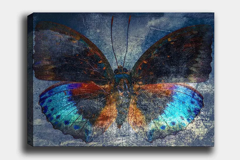 Canvas taulu 70x100 cm - Värikäs perhonen yksityiskohtaisilla sinisillä ja oransseilla siivillä, Sininen / Oranssi / Musta