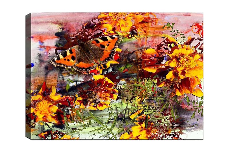Canvas taulu 70x100 cm - Värikäs perhonen istuu kukilla vilkkaassa puutarhassa, Oranssi / Keltainen / Vihreä