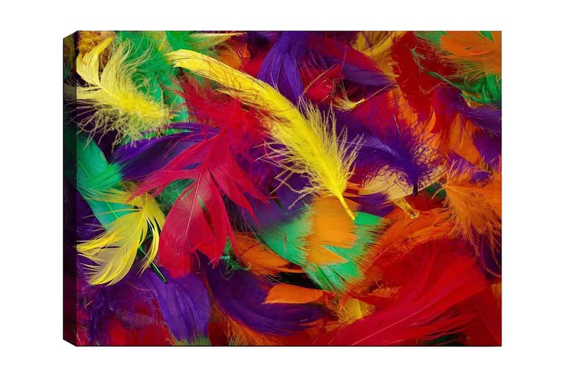 Canvas taulu 70x100 cm - Värikkäät höyhenet eloisassa sommitelmassa, Punainen / Keltainen / Vihreä