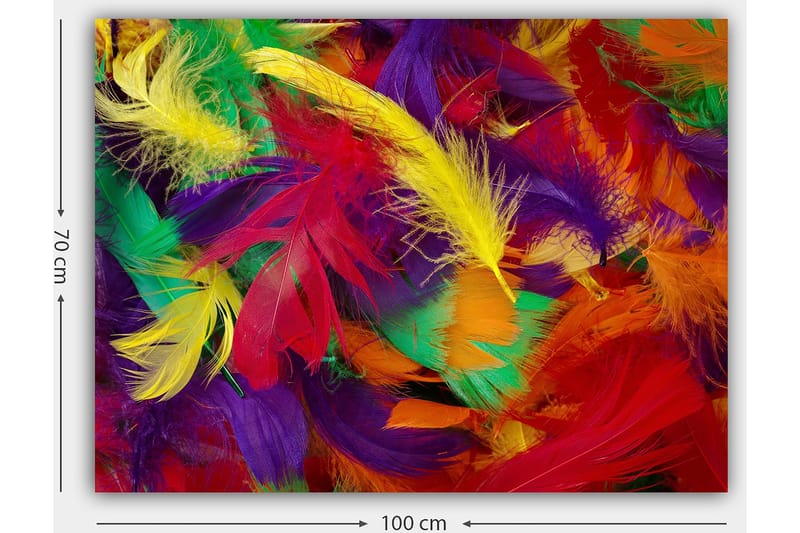 Canvas taulu 70x100 cm - Värikkäät höyhenet eloisassa sommitelmassa - Punainen / Keltainen / Vihreä - Sisustustuotteet - Taulu & taide - Canvas-taulu