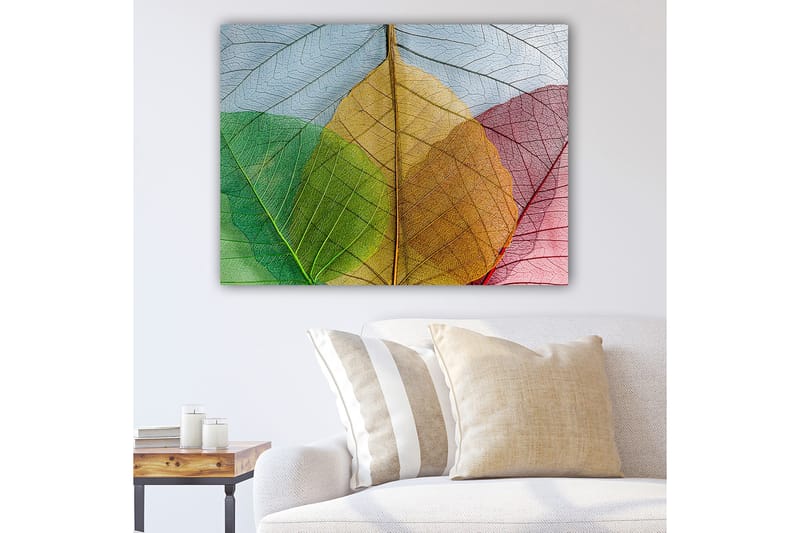 Canvas taulu 70x100 cm - Värikkäät lehdet eri sävyissä luovat harmonisen sommitelman, Vihreä / Punainen / Keltainen
