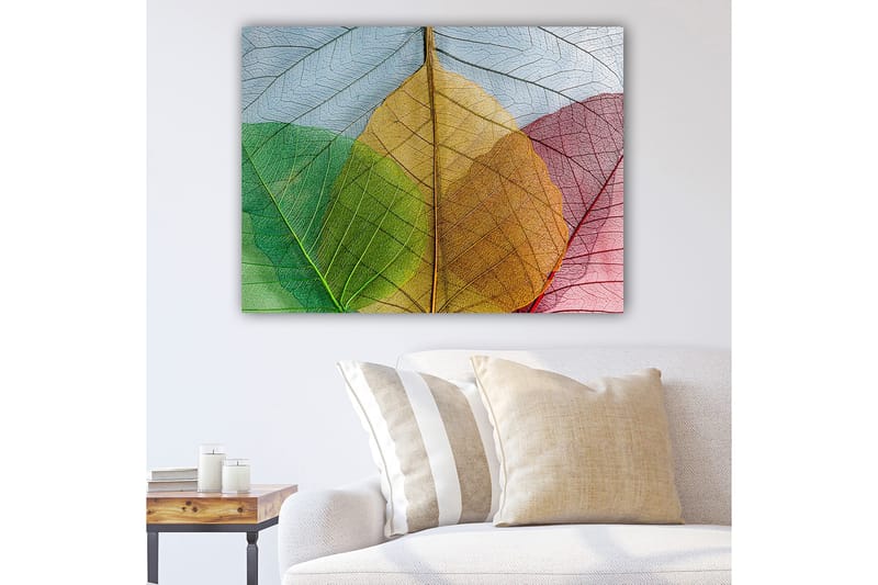 Canvas taulu 70x100 cm - Värikkäät lehdet eri sävyissä luovat harmonisen sommitelman, Vihreä / Punainen / Keltainen