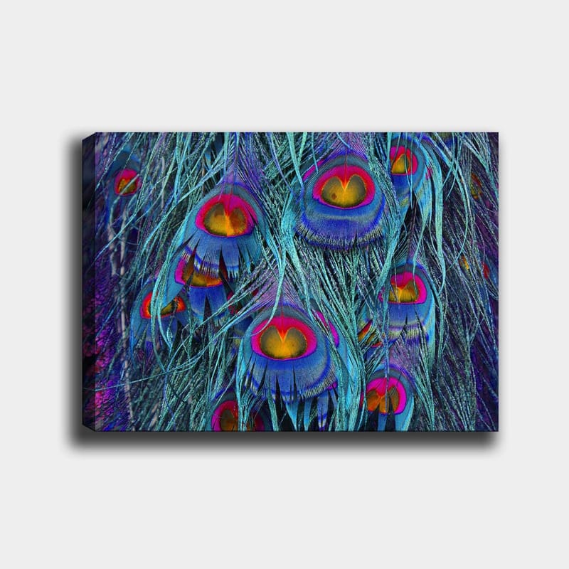 Canvas taulu 70x100 cm - Värikkäät riikinkukon höyhenet hypnoottisella kuviolla, Turkoosi / Violetti / Punainen