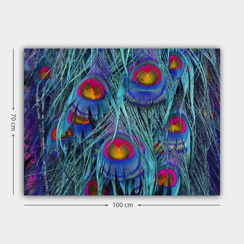 Canvas taulu 70x100 cm - Värikkäät riikinkukon höyhenet hypnoottisella kuviolla - Turkoosi / Violetti / Punainen - Sisustustuotteet - Taulu & taide - Canvas-taulu