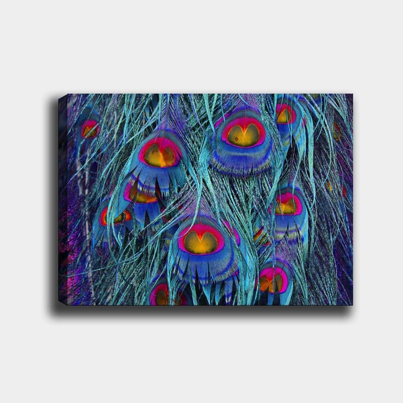 Canvas taulu 70x100 cm - Värikkäät riikinkukon höyhenet hypnoottisella kuviolla, Turkoosi / Violetti / Punainen