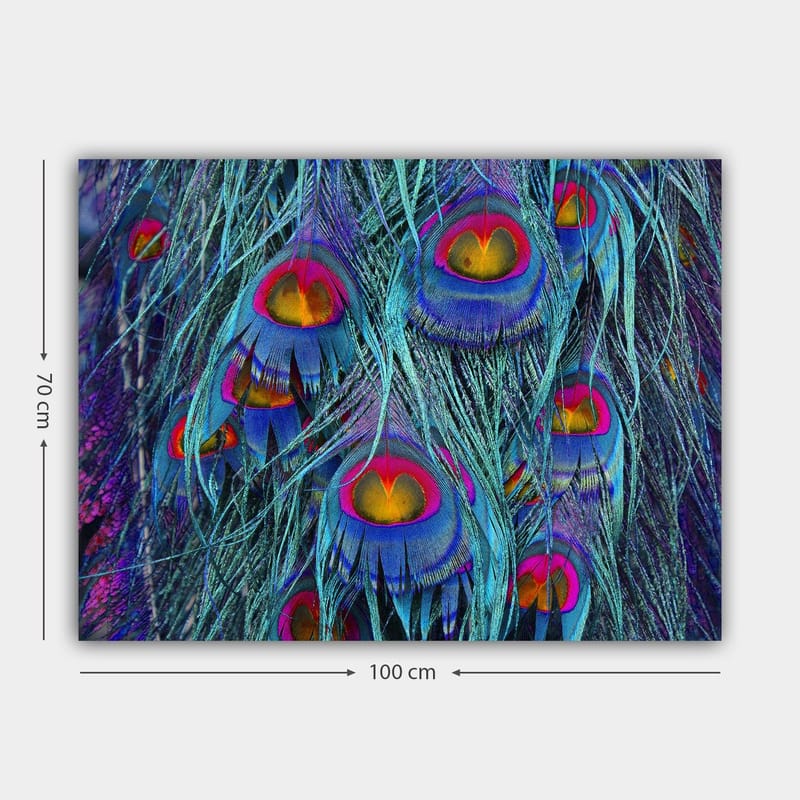 Canvas taulu 70x100 cm - Värikkäät riikinkukon höyhenet hypnoottisella kuviolla - Turkoosi / Violetti / Punainen - Sisustustuotteet - Taulu & taide - Canvas-taulu