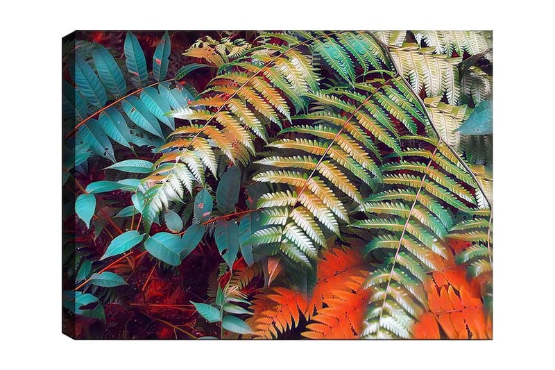 Canvas taulu 70x100 cm - Värikkäät saniaisenlehdet eloisassa sommitelmassa, Turkoosi / Vihreä / Oranssi