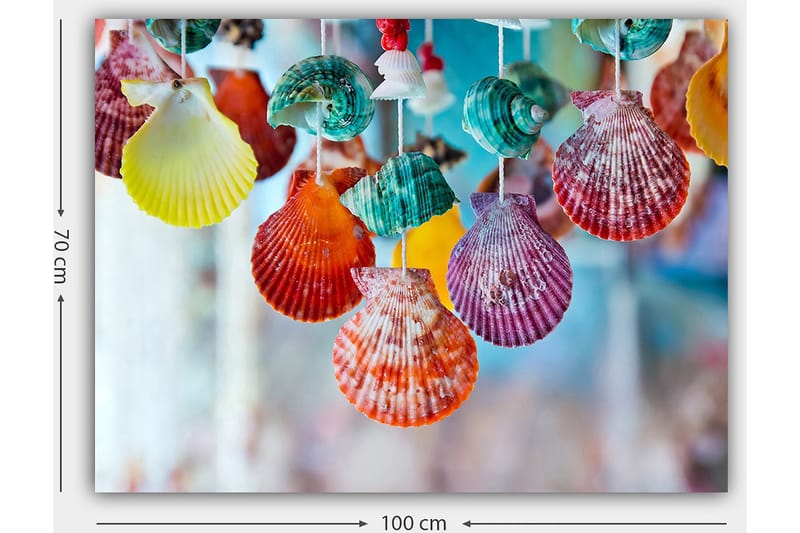 Canvas taulu 70x100 cm - Värikkäät simpukat koristeellisessa setissä - Punainen / Vihreä / Oranssi - Sisustustuotteet - Taulu & taide - Canvas-taulu