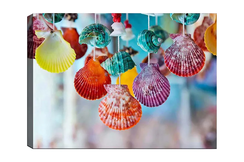 Canvas taulu 70x100 cm - Värikkäät simpukat koristeellisessa setissä, Punainen / Vihreä / Oranssi