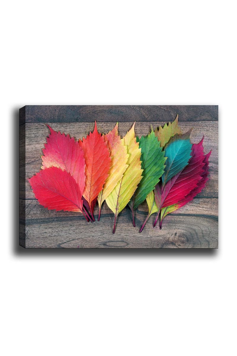 Canvas taulu 70x100 cm - Värikkäät syksyn lehdet eri sävyissä puupinnalla, Punainen / Vihreä / Keltainen