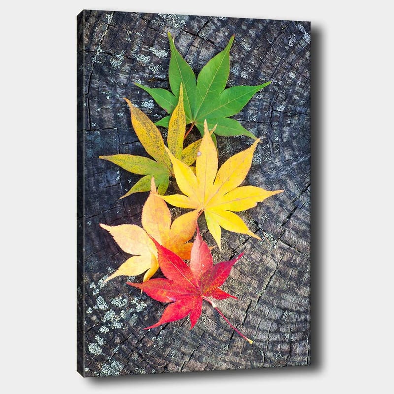 Canvas taulu 70x100 cm - Värikkäät syksyn lehdet eri sävyissä puupinnalla - Vihreä / Keltainen / Punainen - Sisustustuotteet - Taulu & taide - Canvas-taulu