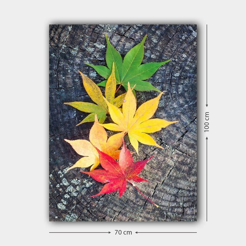 Canvas taulu 70x100 cm - Värikkäät syksyn lehdet eri sävyissä puupinnalla - Vihreä / Keltainen / Punainen - Sisustustuotteet - Taulu & taide - Canvas-taulu