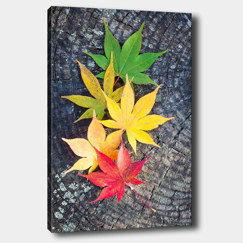 Canvas taulu 70x100 cm - Värikkäät syksyn lehdet eri sävyissä puupinnalla - Vihreä / Keltainen / Punainen - Sisustustuotteet - Taulu & taide - Canvas-taulu
