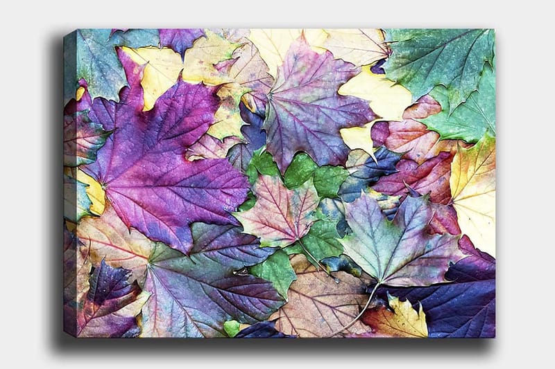 Canvas taulu 70x100 cm - Värikkäät syksyn lehdet harmonisessa sommitelmassa, Violetti / Vihreä / Keltainen