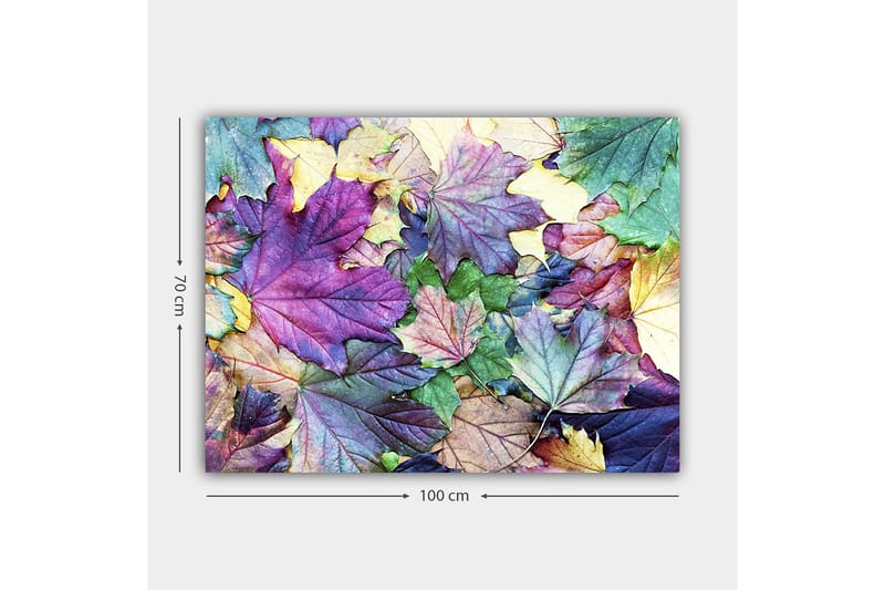 Canvas taulu 70x100 cm - Värikkäät syksyn lehdet harmonisessa sommitelmassa - Violetti / Vihreä / Keltainen - Sisustustuotteet - Taulu & taide - Canvas-taulu