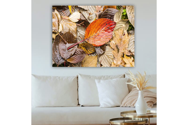 Canvas taulu 70x100 cm - Värikkäät syksyn lehdet kostealla alustalla - Punainen / Ruskea / Keltainen - Sisustustuotteet - Taulu & taide - Canvas-taulu