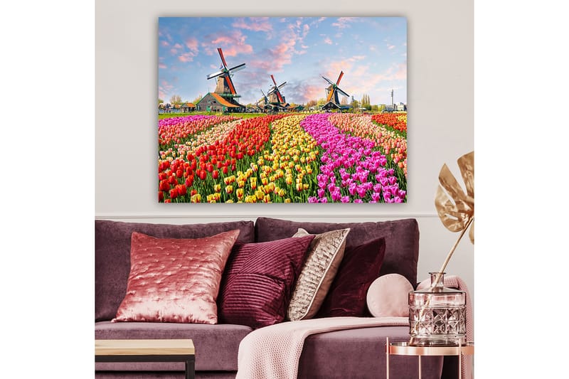 Canvas taulu 70x100 cm - Värikkäät tulppaanipellot ja tuulimyllyt taustalla, Punainen / Vaaleanpunainen / Keltainen