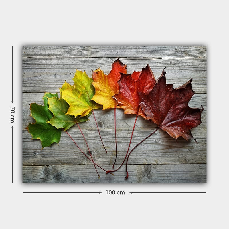 Canvas taulu 70x100 cm - Värikkäiden syksynlehtien kokoelma eri sävyissä puupinnalla - Vihreä / Keltainen / Punainen - Sisustustuotteet - Taulu & taide - Canvas-taulu