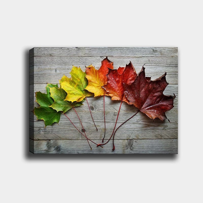Canvas taulu 70x100 cm - Värikkäiden syksynlehtien kokoelma eri sävyissä puupinnalla, Vihreä / Keltainen / Punainen