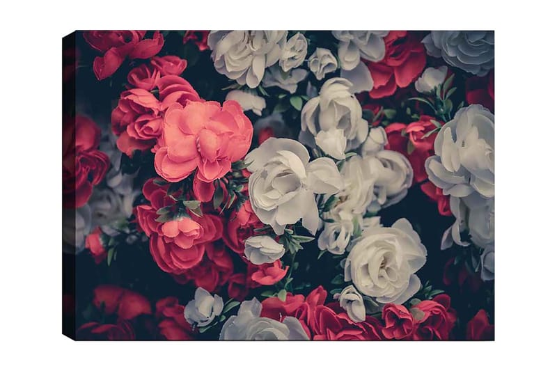 Canvas taulu 70x100 cm - Värikkäitä kukkia punaisen ja valkoisen sävyissä, Punainen / Valkoinen