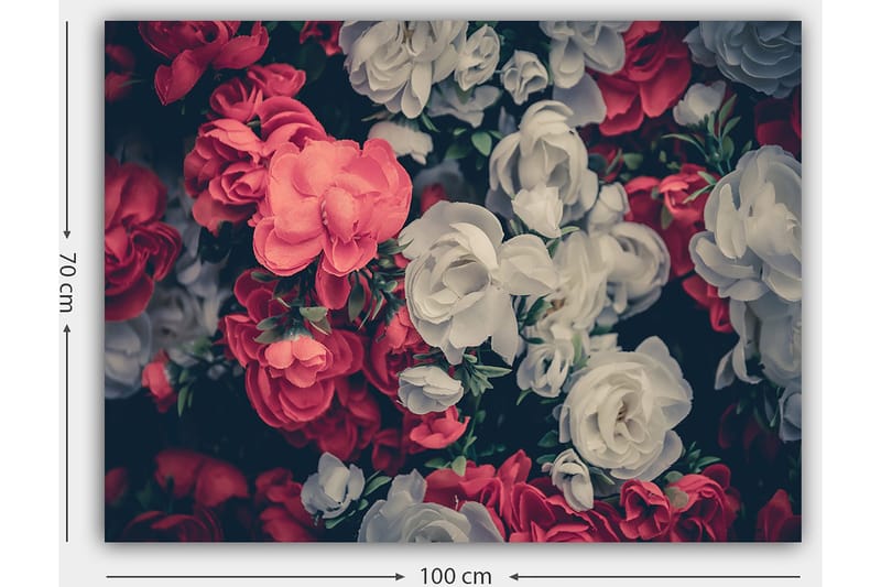 Canvas taulu 70x100 cm - Värikkäitä kukkia punaisen ja valkoisen sävyissä - Punainen / Valkoinen - Sisustustuotteet - Taulu & taide - Canvas-taulu