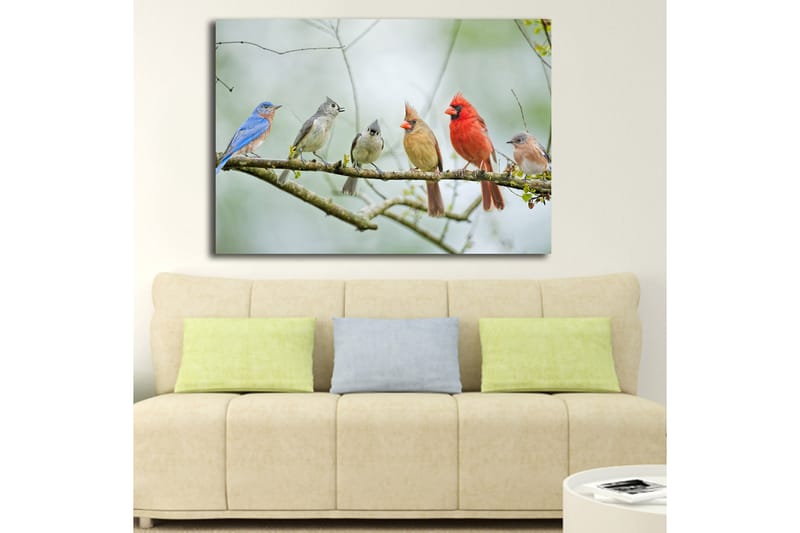 Canvas taulu 70x100 cm - Värikkäitä lintuja oksalla - Sininen / Punainen / Harmaa - Sisustustuotteet - Taulu & taide - Canvas-taulu