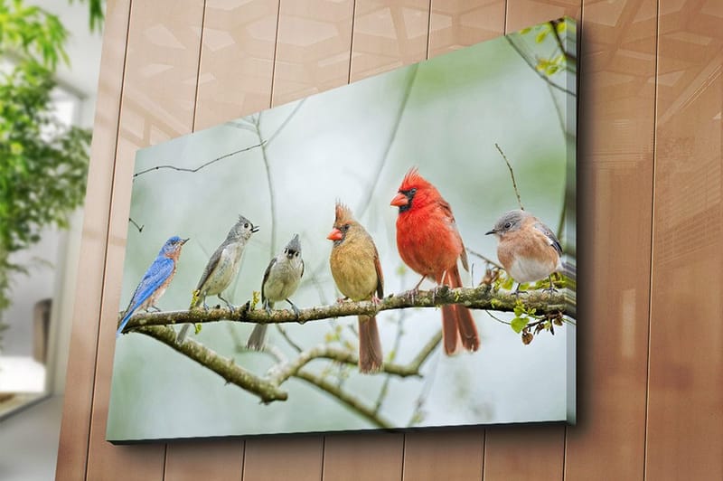 Canvas taulu 70x100 cm - Värikkäitä lintuja oksalla - Sininen / Punainen / Harmaa - Sisustustuotteet - Taulu & taide - Canvas-taulu
